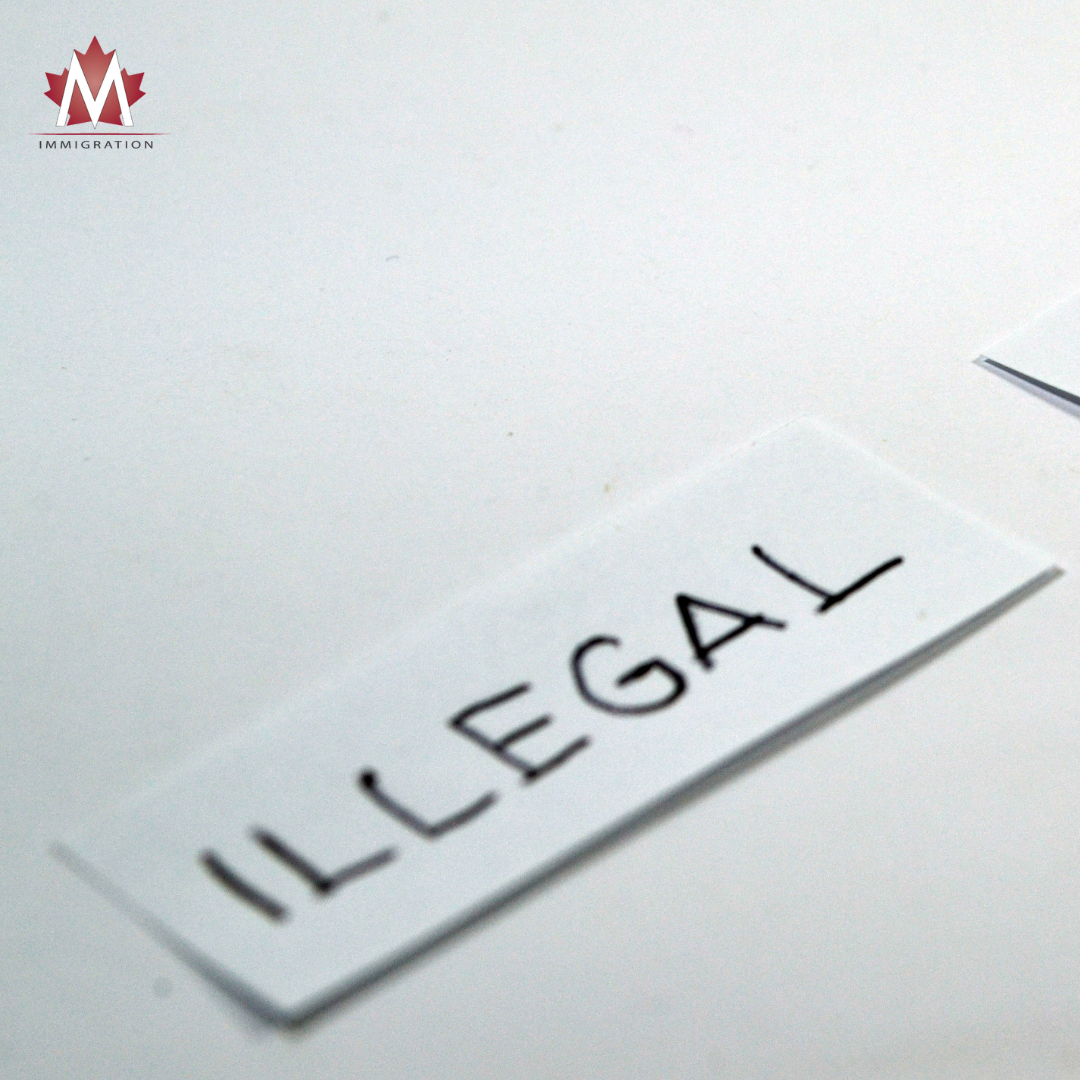 Amnesty International urges Canada to accept undocumented migrants from the U.S.